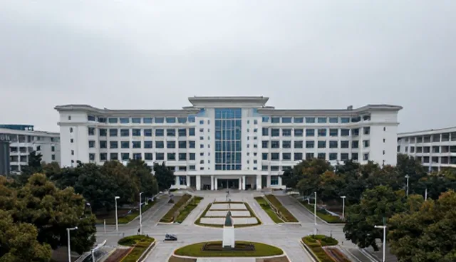 公司内部网站建设，坚持安全准时的物流管理实践